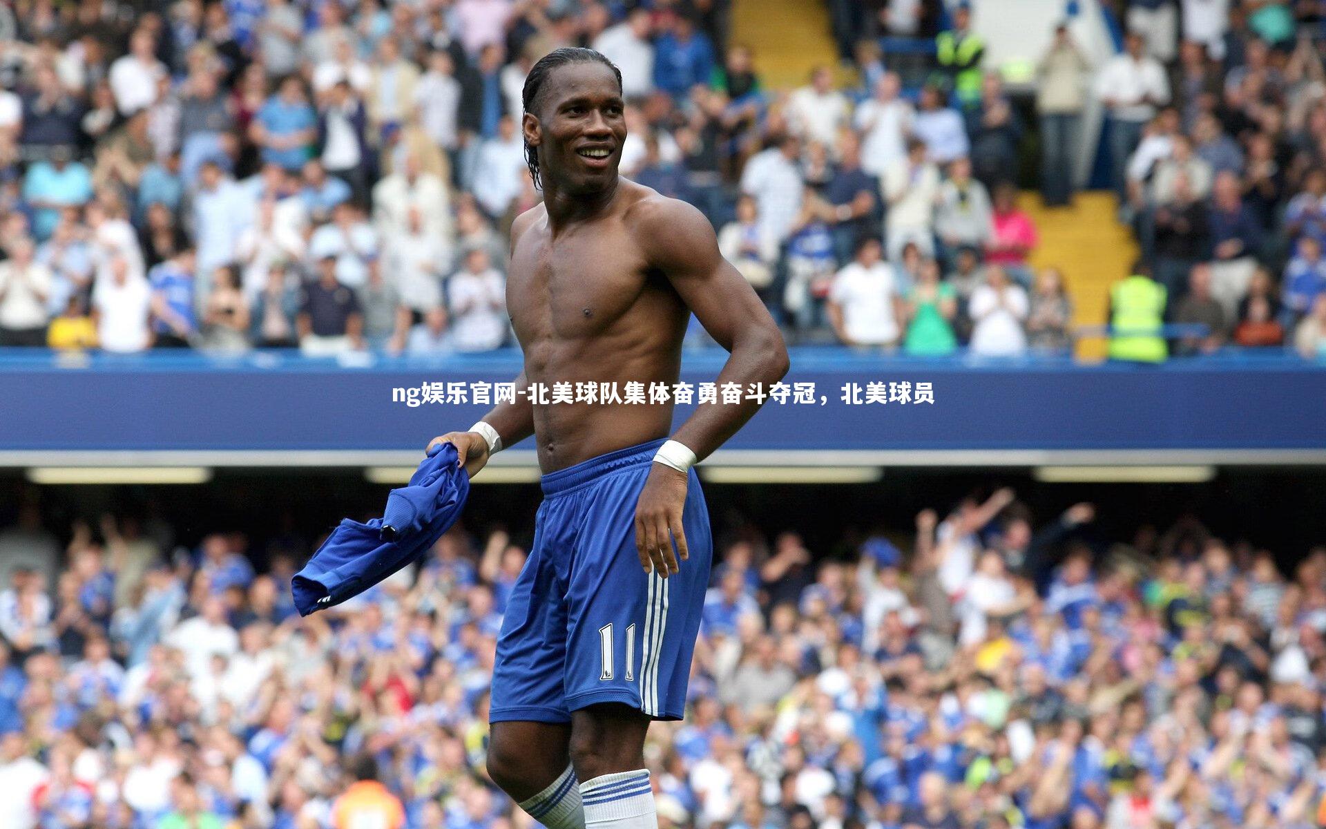 ng娱乐官网-北美球队集体奋勇奋斗夺冠，北美球员
